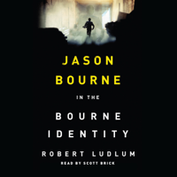 Robert Ludlum - The Bourne Identity artwork