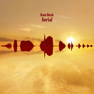 Aerial (2018 Remaster) - Kate Bush