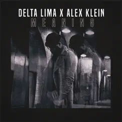 Meaning - Single by Delta Lima & Alex Klein album reviews, ratings, credits