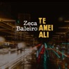 Zeca Baleiro - Te Amei Ali