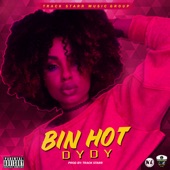 Bin Hot artwork