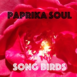 Paprika Soul - Mellow Mellow (feat. Christine Glenn Cousee & Tim Whitnall)