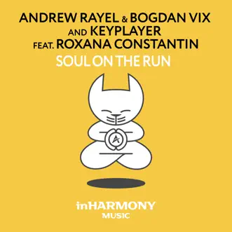 Soul on the Run (feat. Roxana Constantin) - EP by Andrew Rayel, Bogdan Vix & KeyPlayer album reviews, ratings, credits