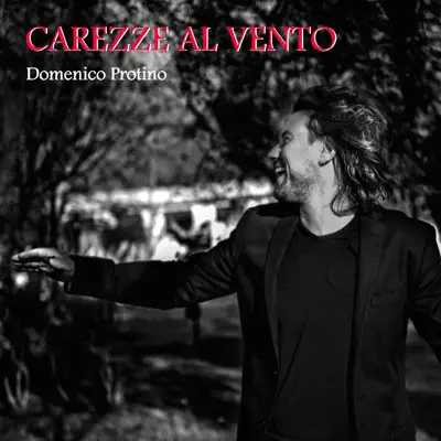 Carezze al vento - Single - Domenico Protino