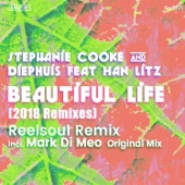 Beautiful Life (feat. Han Litz) [Reelsoul Sunshine Dub] artwork