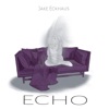 Echo - Single artwork