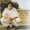 Ancient Winds: Peaceful Dove