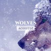 Wolves (Acoustic) - Single, 2017