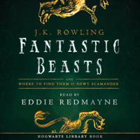 J.K. Rowling & Newt Scamander - Fantastic Beasts and Where to Find Them artwork