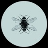 Bee - Single