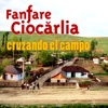 Cruzando el Campo - Single artwork