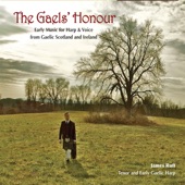 The Gaels' Honour artwork