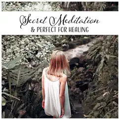 Secret Meditation & Perfect for Healing - Balance, Freedom, Harmony, Happiness, Peace, Self Hypnosis, Relaxation by Deep Meditation Music Zone album reviews, ratings, credits