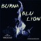 Burna - Blu Lyon lyrics