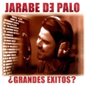 ¿Grandes Exitos? Jarabe de Palo artwork