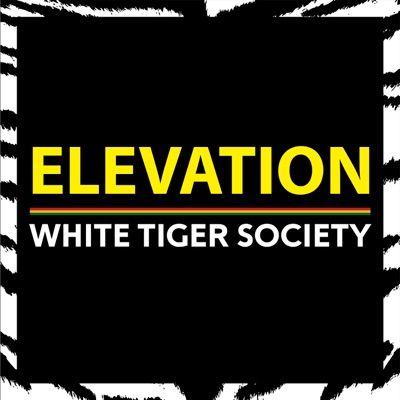 White Tiger Society Lyrics Playlists Videos Shazam