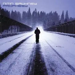 Prophesy by Nitin Sawhney album reviews, ratings, credits