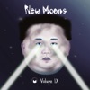New Moons Vol. IX, 2018