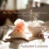 Easy Listening Piano - Nocturne - Slow Songs