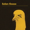 Solan Goose
