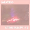 Citrus Rose, Pts. 1 & 2 - Single