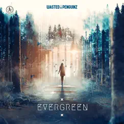Evergreen - Single by Wasted Penguinz album reviews, ratings, credits