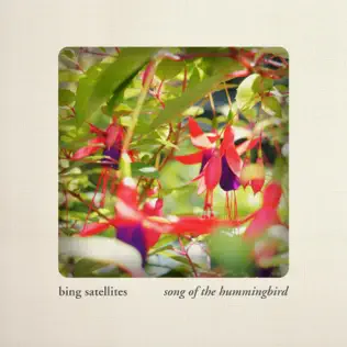 ladda ner album Bing Satellites - Song Of The Hummingbird
