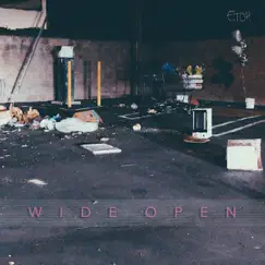Wide Open - Single by Etch album reviews, ratings, credits