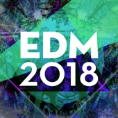 Edm 2018 artwork