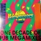 One Decade of Peter Jacques Band Megamix - Single