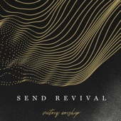 Send Revival (feat. Daniel & Sam Mow) artwork