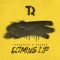 Coming Up (feat. Victor Crone) - Tungevaag & Raaban lyrics