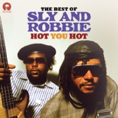 Hot You Hot: The Best of Sly & Robbie artwork