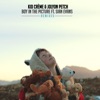 Boy In the Picture (Remixes) [feat. Sian Evans]
