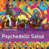 Rough Guide to Psychedelic Salsa, 2015