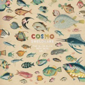 Cosmo Sheldrake - Egg and Soldiers