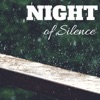 Night of Silence - Music Therapy to Cure Insomnia, Relaxing Rain Ambience with Water Sounds
