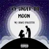 Cry Under the Moon (feat. Emo Fruits) song lyrics