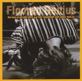 Floored Genius: The Best of Julian Cope and the Teardrop Explodes (1979-91) artwork