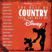 The Best of Country Sing the Best of Disney artwork