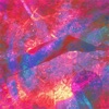 Merzbow / Forget - Single