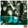Top Pop Rumantsch, Vol. 2 (2008-2012)