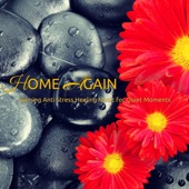 Home Again – Calming Anti Stress Healing Music for Quiet Moments artwork
