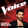 Cody Belew - Jolene