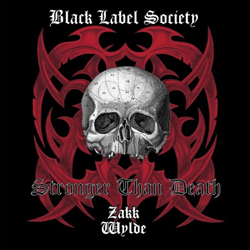 Art for 13 Years Of Grief by Black Label Society