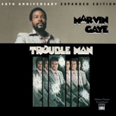 Marvin Gaye - Main Theme From Trouble Man