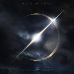 HIROOMI TOSAKA - WASTED LOVE