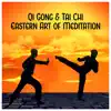 Qi Gong & Tai Chi: Eastern Art of Meditation – Chinese Music for Exercises, Inner Energy, Mindfulness, Spiritual, Yoga album lyrics, reviews, download