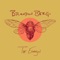 Cicada - Brandon Berg lyrics