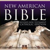 Various - New American Bible: Revised New Testament Catholic Edition artwork